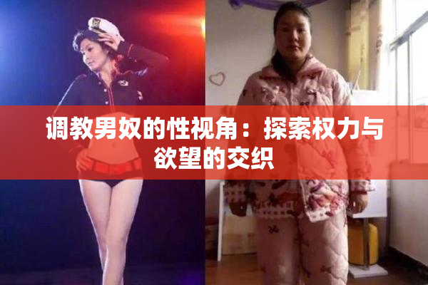 调教男奴的性视角：探索权力与欲望的交织