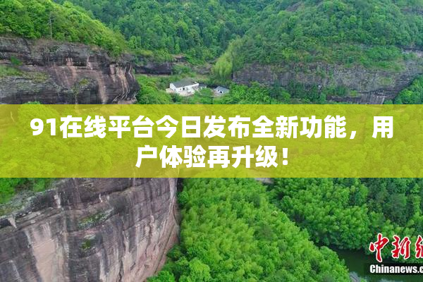 91在线平台今日发布全新功能，用户体验再升级！