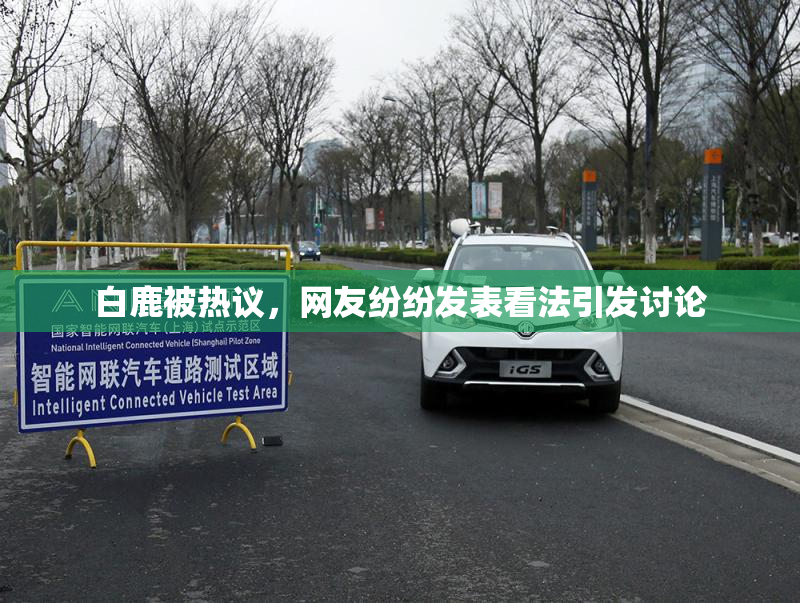 白鹿被热议，网友纷纷发表看法引发讨论