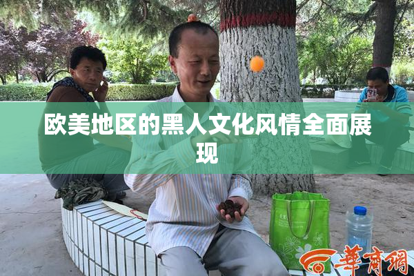欧美地区的黑人文化风情全面展现