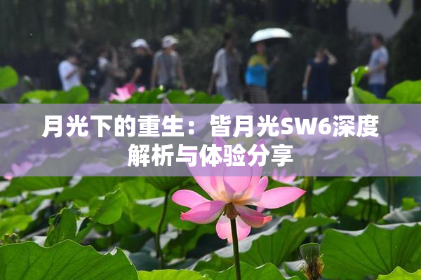 月光下的重生：皆月光SW6深度解析与体验分享