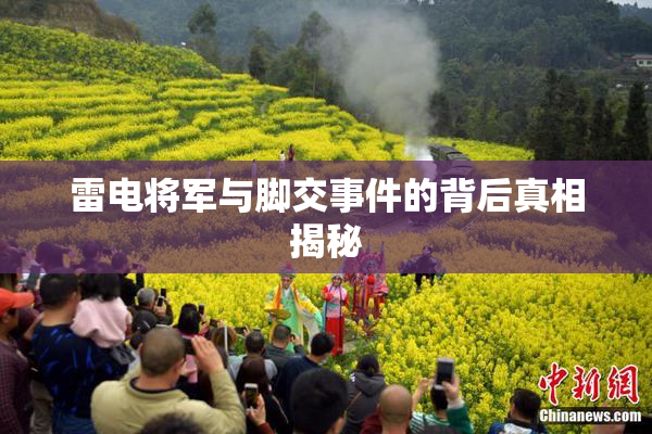 雷电将军与脚交事件的背后真相揭秘