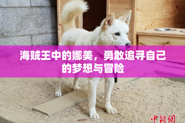 海贼王中的娜美，勇敢追寻自己的梦想与冒险