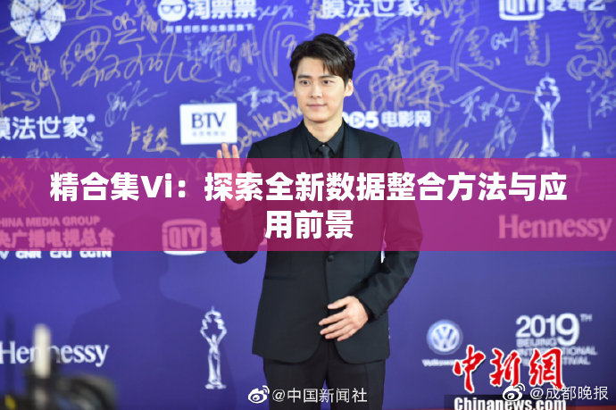 精合集Vi：探索全新数据整合方法与应用前景