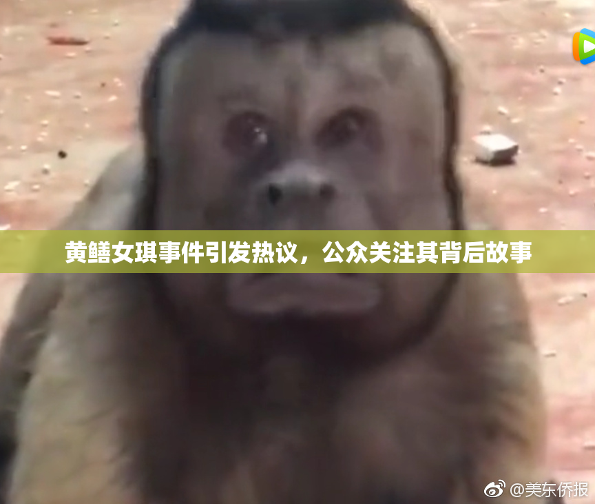 黄鳝女琪事件引发热议，公众关注其背后故事
