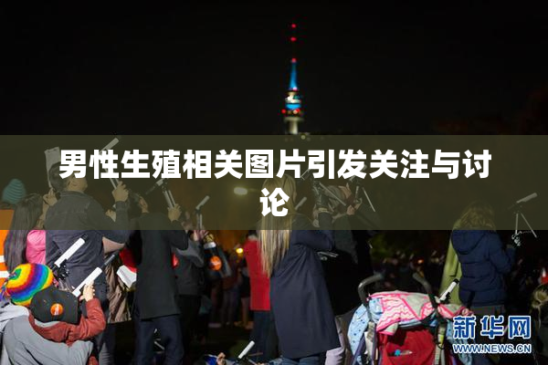 男性生殖相关图片引发关注与讨论