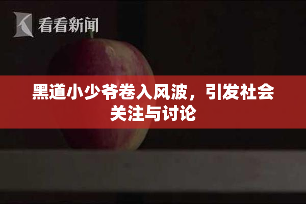 黑道小少爷卷入风波，引发社会关注与讨论