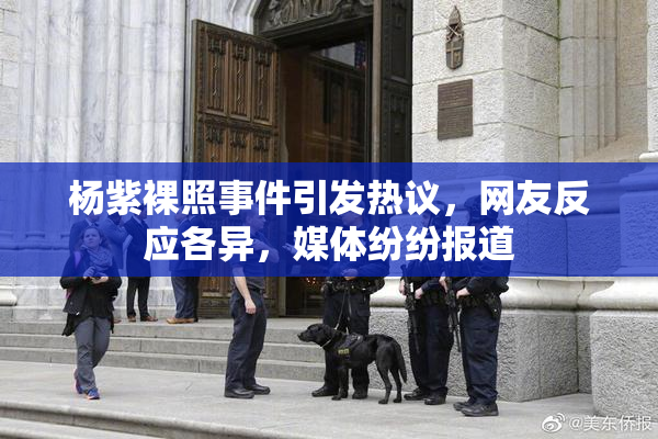 杨紫裸照事件引发热议，网友反应各异，媒体纷纷报道