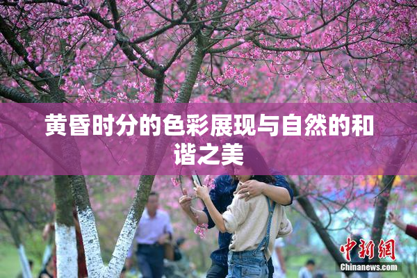 黄昏时分的色彩展现与自然的和谐之美