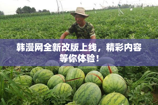 韩漫网全新改版上线，精彩内容等你体验！