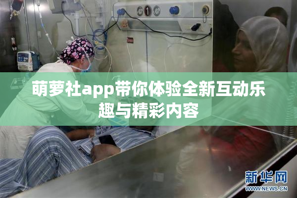萌萝社app带你体验全新互动乐趣与精彩内容