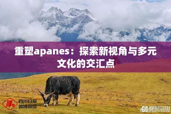 重塑apanes：探索新视角与多元文化的交汇点