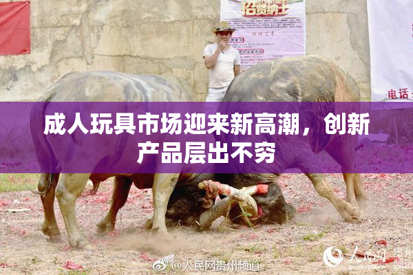 成人玩具市场迎来新高潮，创新产品层出不穷