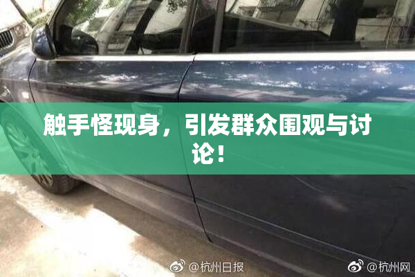 触手怪现身，引发群众围观与讨论！