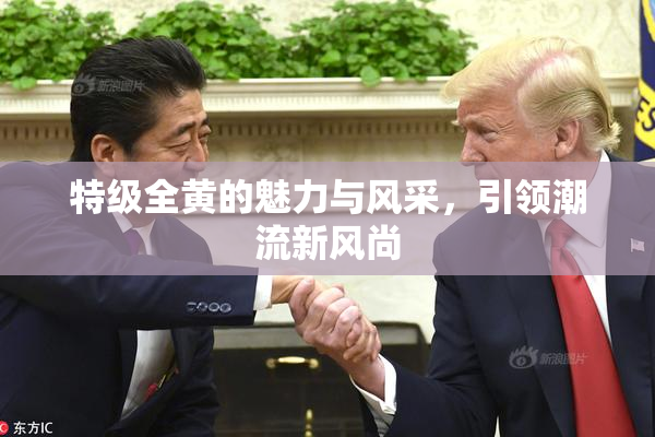 特级全黄的魅力与风采，引领潮流新风尚