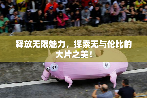释放无限魅力，探索无与伦比的大片之美！