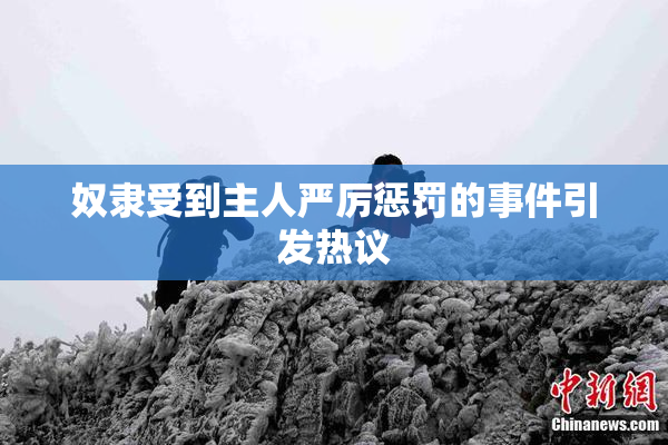 奴隶受到主人严厉惩罚的事件引发热议