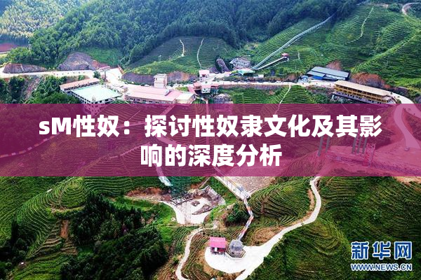sM性奴：探讨性奴隶文化及其影响的深度分析