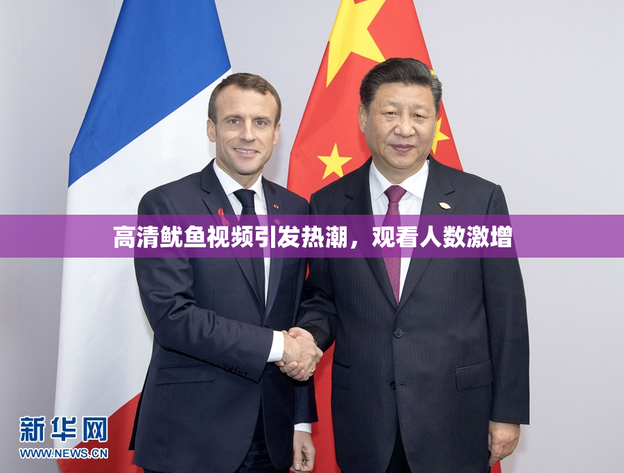高清鱿鱼视频引发热潮，观看人数激增
