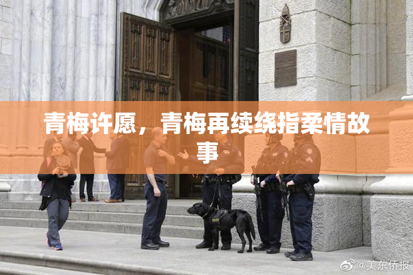 青梅许愿，青梅再续绕指柔情故事