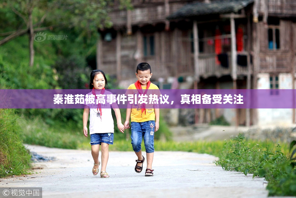 秦淮茹被高事件引发热议，真相备受关注