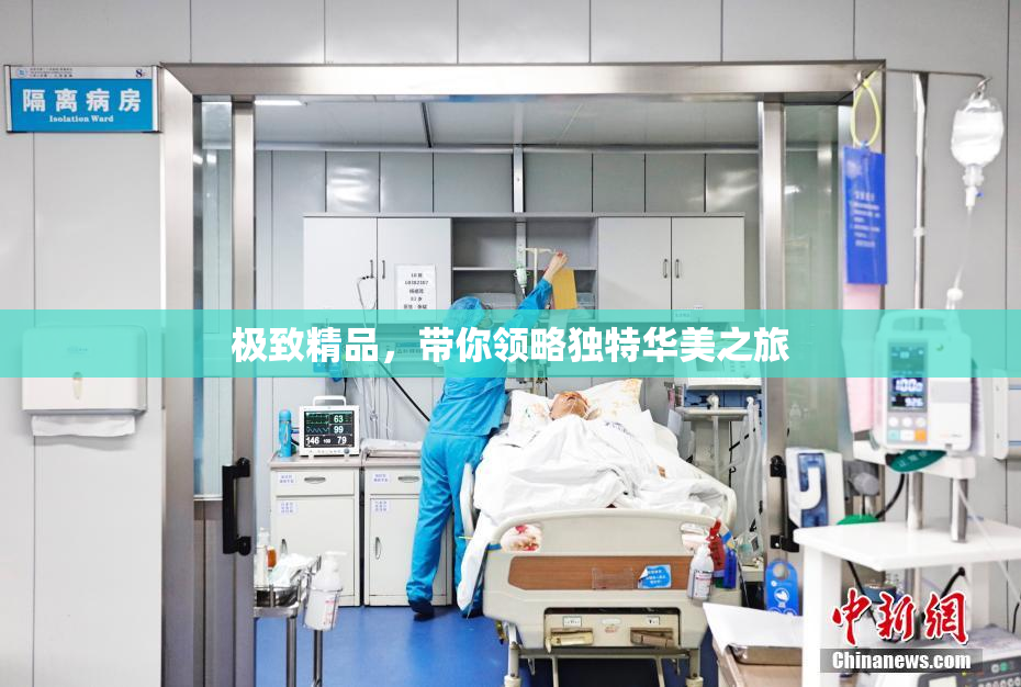 极致精品，带你领略独特华美之旅