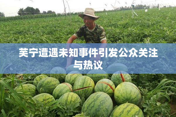 芙宁遭遇未知事件引发公众关注与热议