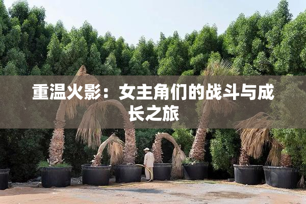 重温火影：女主角们的战斗与成长之旅