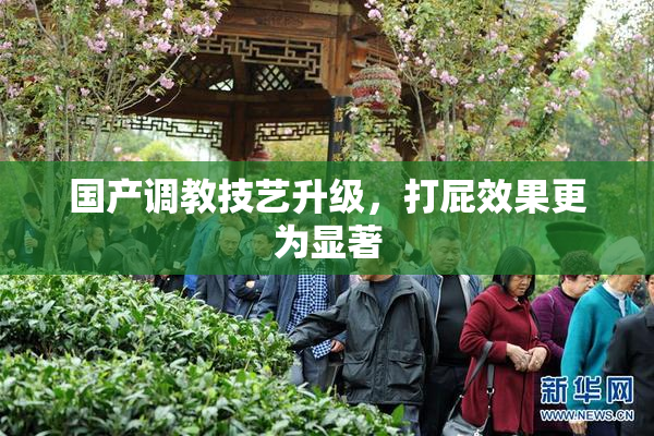 国产调教技艺升级，打屁效果更为显著