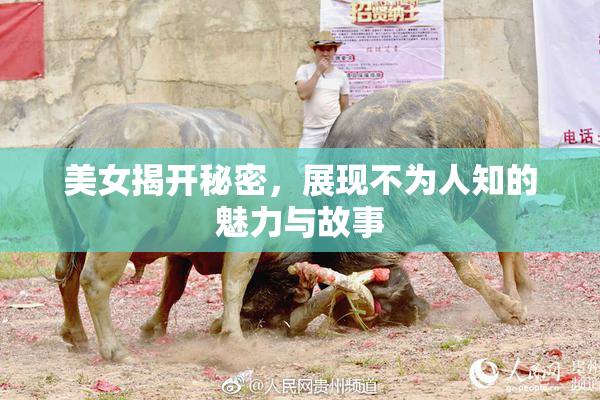 美女揭开秘密，展现不为人知的魅力与故事