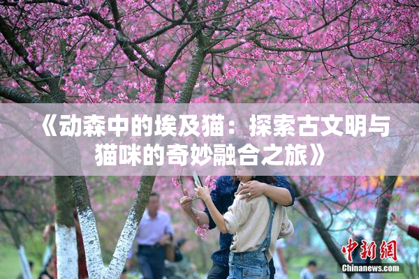 《动森中的埃及猫：探索古文明与猫咪的奇妙融合之旅》