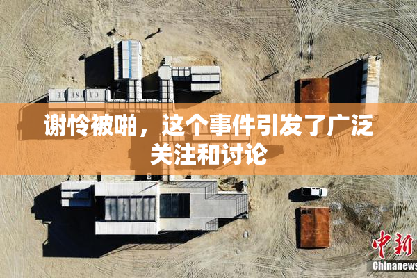 谢怜被啪，这个事件引发了广泛关注和讨论