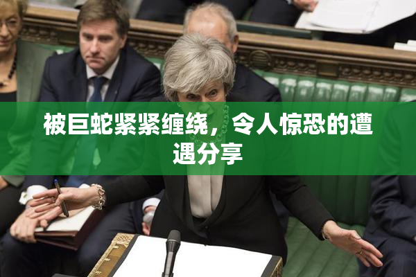 被巨蛇紧紧缠绕，令人惊恐的遭遇分享