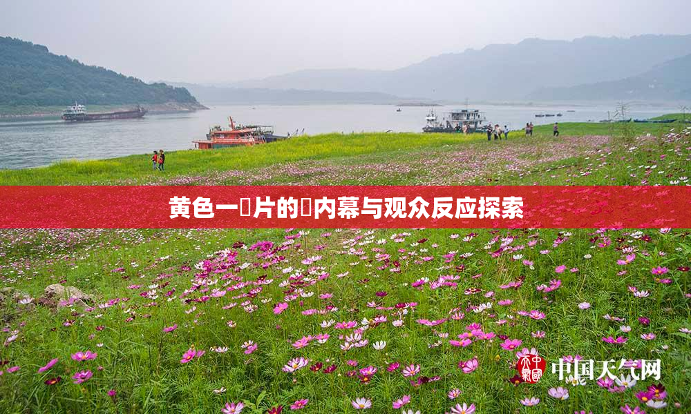 黄色一級片的黃内幕与观众反应探索
