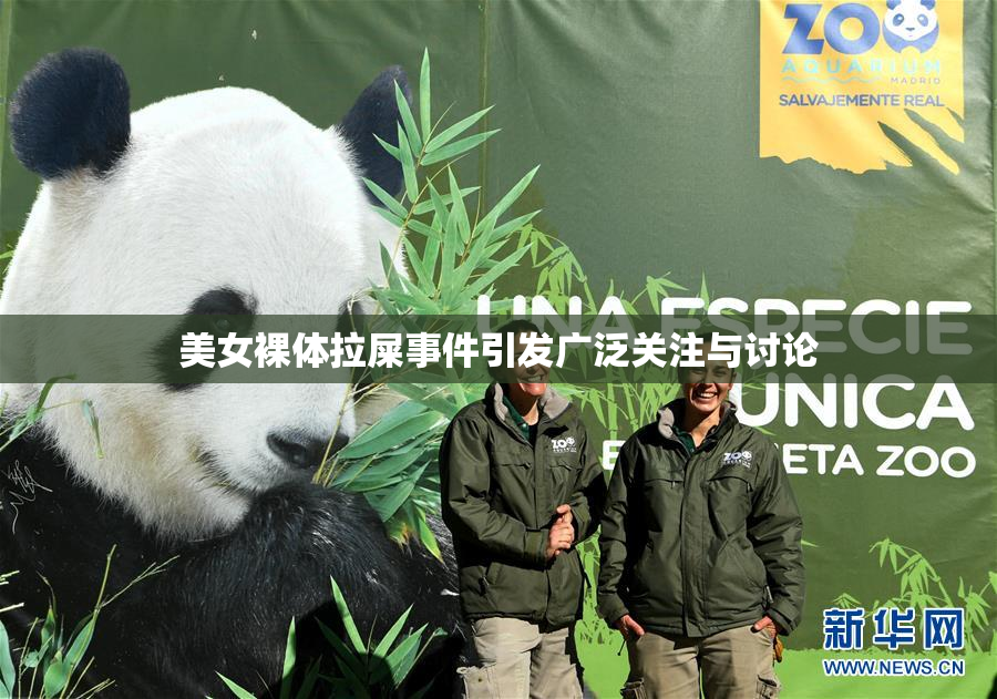 美女裸体拉屎事件引发广泛关注与讨论