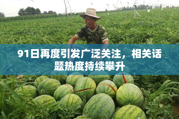 91日再度引发广泛关注，相关话题热度持续攀升