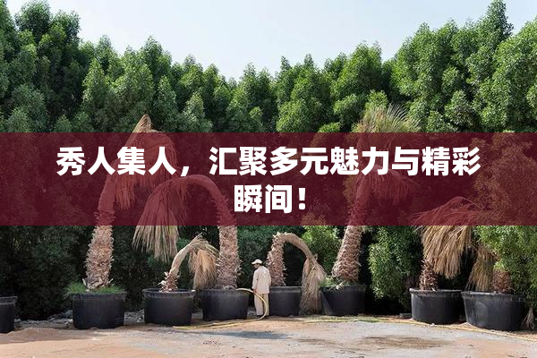 秀人集人，汇聚多元魅力与精彩瞬间！
