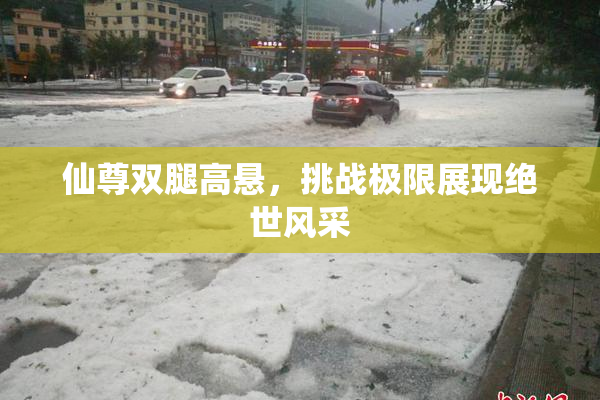 仙尊双腿高悬，挑战极限展现绝世风采