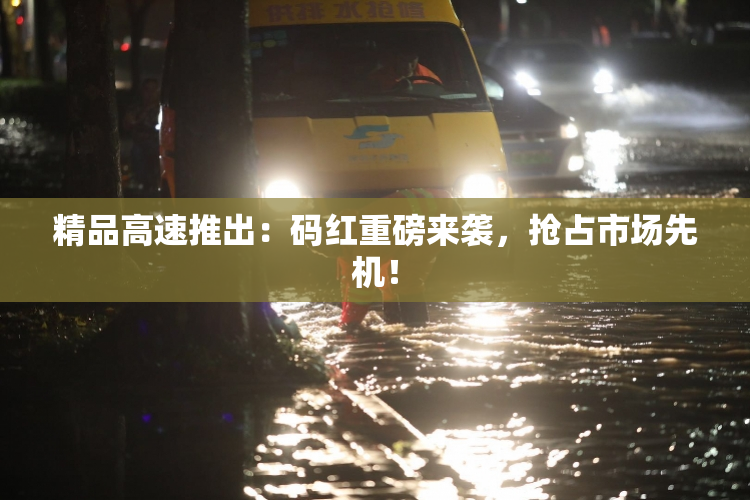 精品高速推出：码红重磅来袭，抢占市场先机！