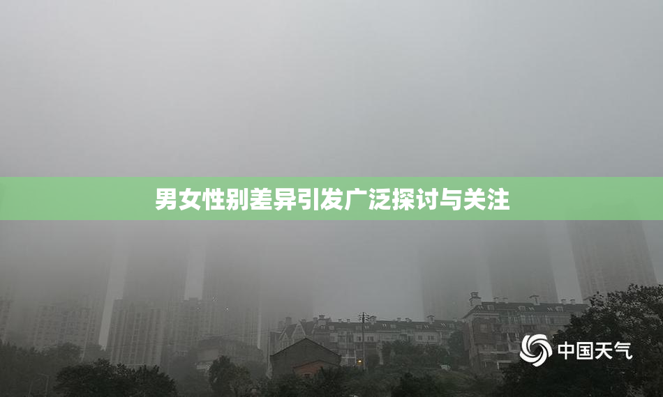 男女性别差异引发广泛探讨与关注