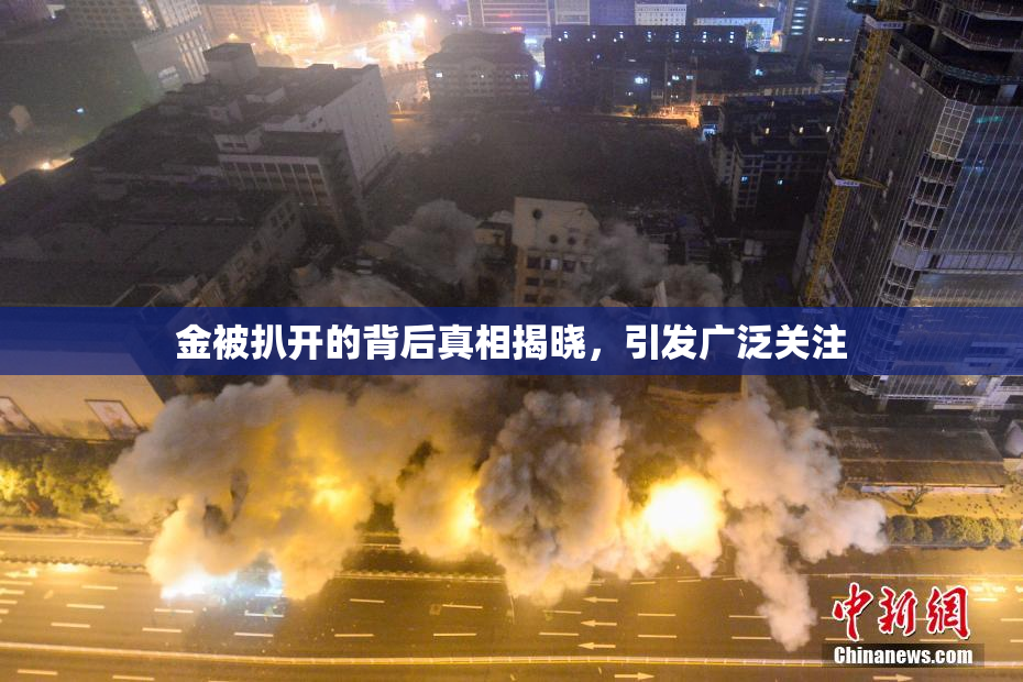 金被扒开的背后真相揭晓，引发广泛关注