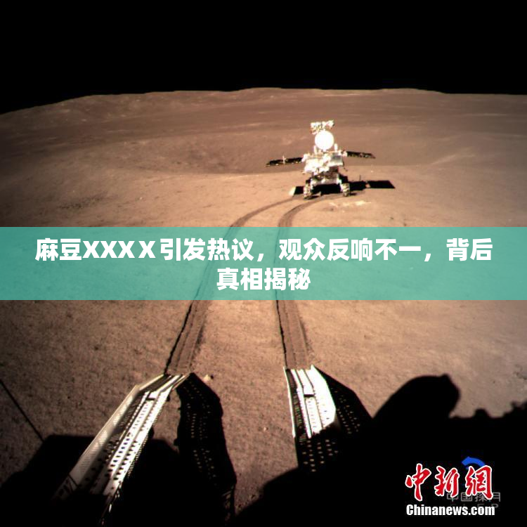 麻豆XXXⅩ引发热议，观众反响不一，背后真相揭秘