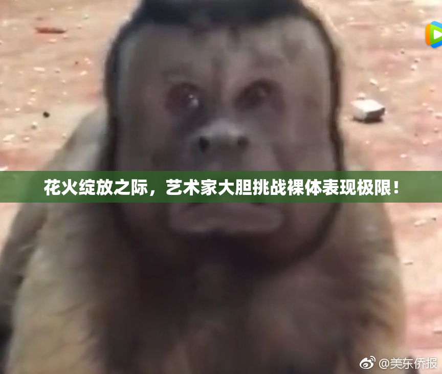 花火绽放之际，艺术家大胆挑战裸体表现极限！