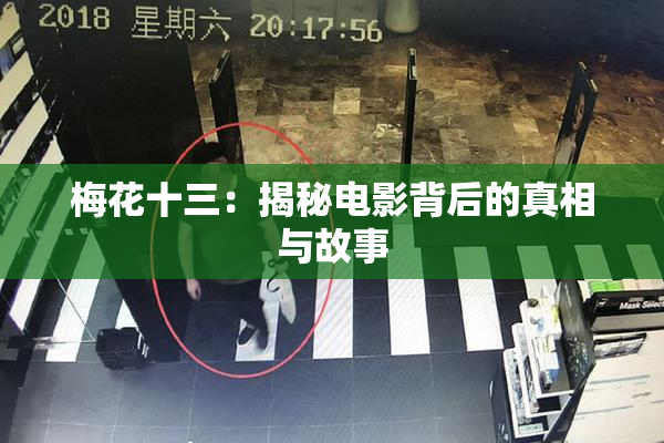 梅花十三：揭秘电影背后的真相与故事