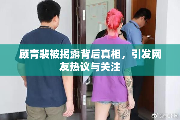 顾青裴被揭露背后真相，引发网友热议与关注