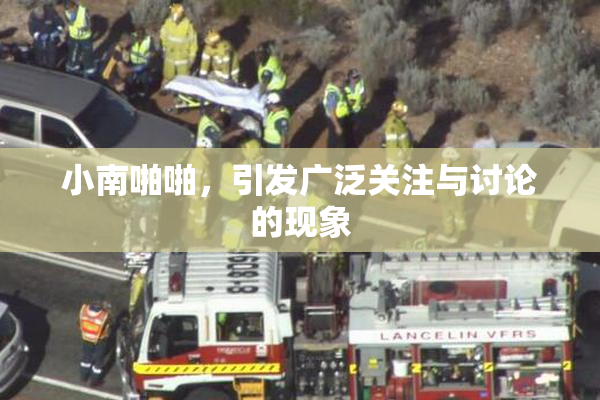 小南啪啪，引发广泛关注与讨论的现象