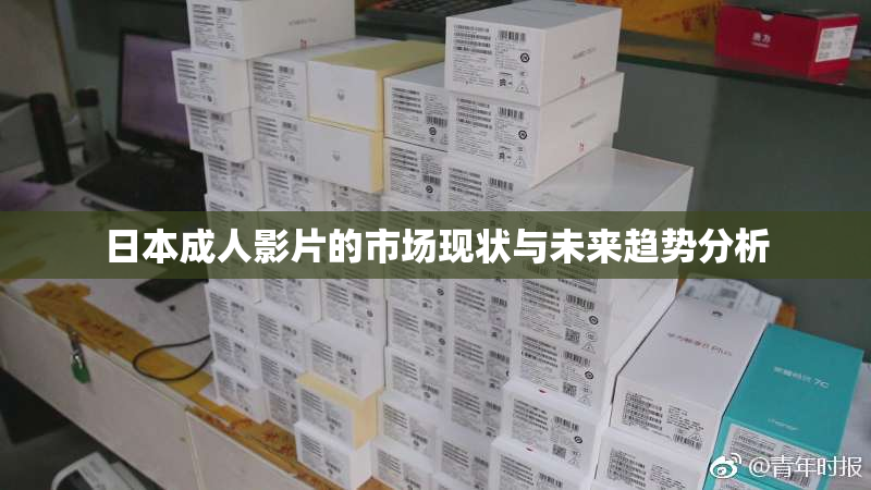 日本成人影片的市场现状与未来趋势分析