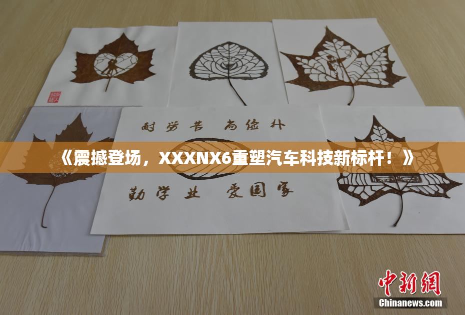 《震撼登场，XXXNX6重塑汽车科技新标杆！》