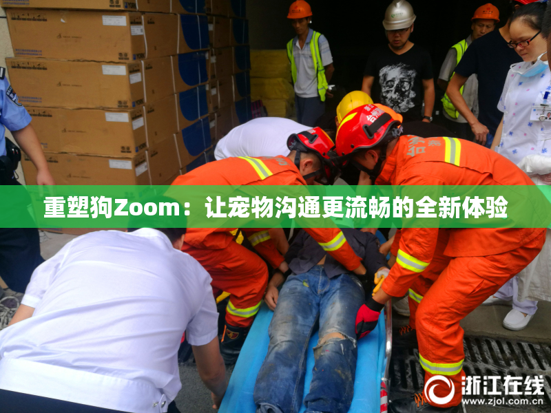 重塑狗Zoom：让宠物沟通更流畅的全新体验
