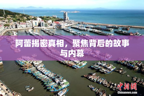 阿蕾揭密真相，聚焦背后的故事与内幕